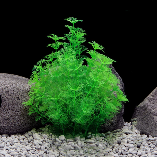 Aquatics Plants Safe Eco-friendly Household Landscaping Aquarium Multi-colors