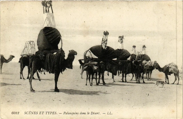 CPA AK Palanquins dans le Désert ALGERIE (874462)