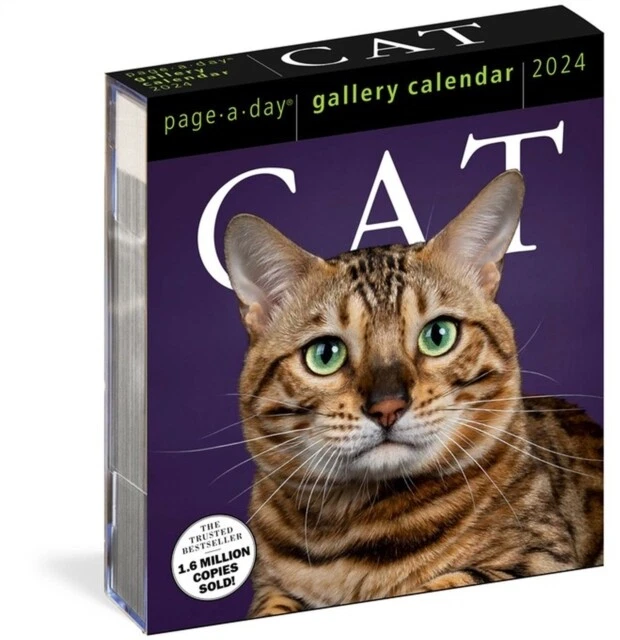 CAT PAGEADAY GALLERY Calendar 2024 A Delightful Gallery of Cats fo
