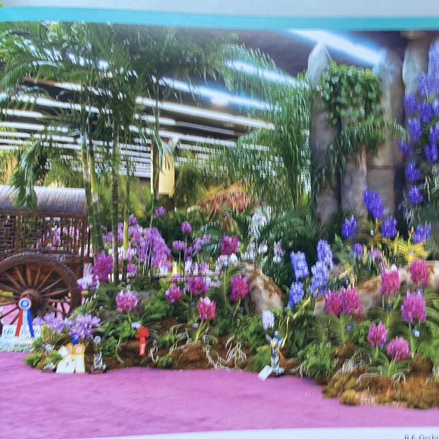 19th World Orchid Conference Book 2008 Folio 5