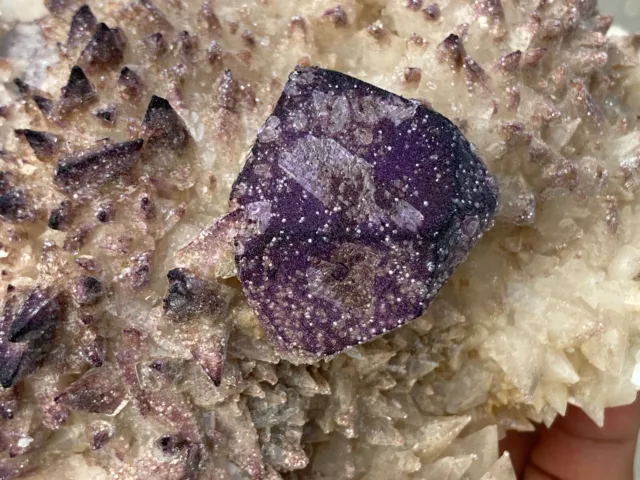 152mm Rare Purple Yttrofluorite with Gypsum on Calcite Matrix from China