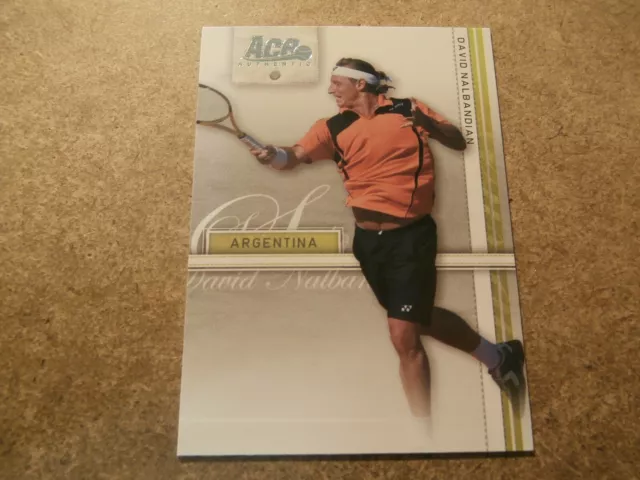 David Nalbandian, 2007 Ace Authentic Tennis Rookie Card, Mint Condition (Jt29)