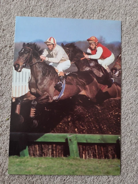 Vintage Canberra Cruise Race Night Card - Undated