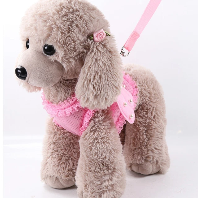 Clothes Kitten Extra Small Cat Harness Harness Small Dogs Bunny Leash Adjustable