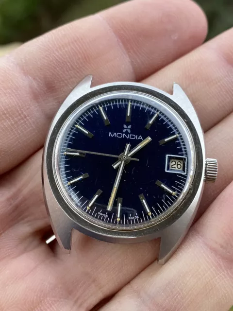 Mondia zenith clearance
