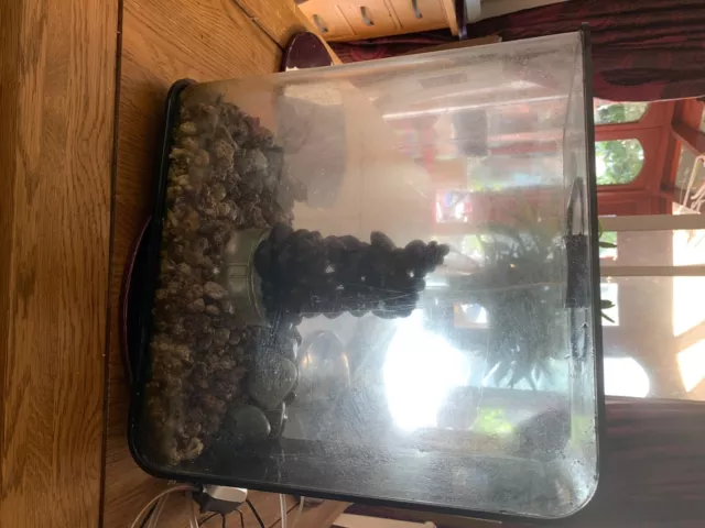 Biorb flow 30l fish tank