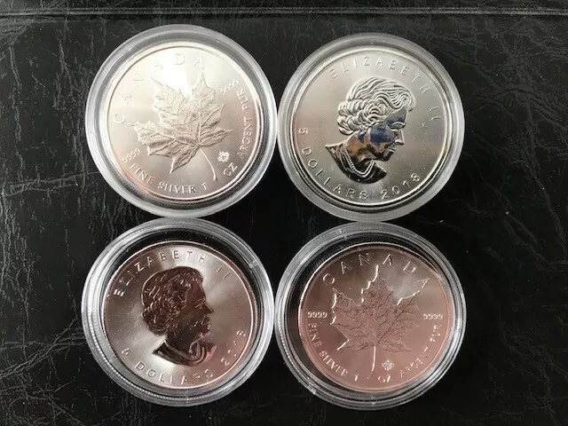 1x Canada Maple 5 Dollar Leaf 2019 ;   1 Unze Silber in Kapsel