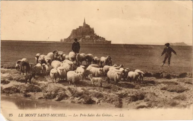 CPA LE MONT ST-MICHEL Les Pres-Sales des Greves (991085)