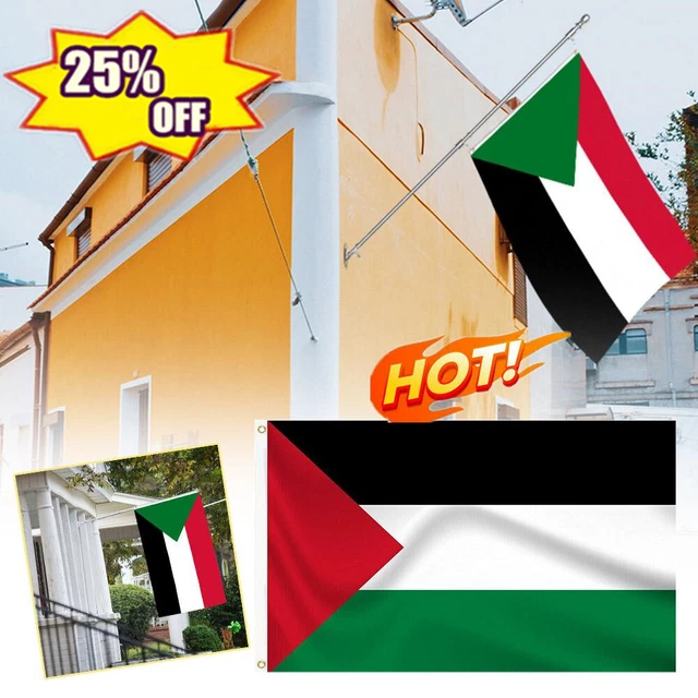 Bandiera Palestinese E Pallone Da Calcio - Immagini Vettoriali Stock E - Foto 4