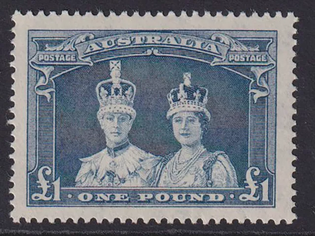 Australia. 1949. SG 178a, £1 bluish slate. Unmounted mint. Cat £80.