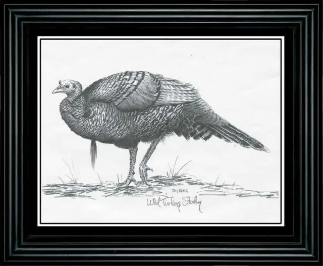 Terry Redlin "Turkey" Pencil Sketch-Framed 11.5 x 9.5