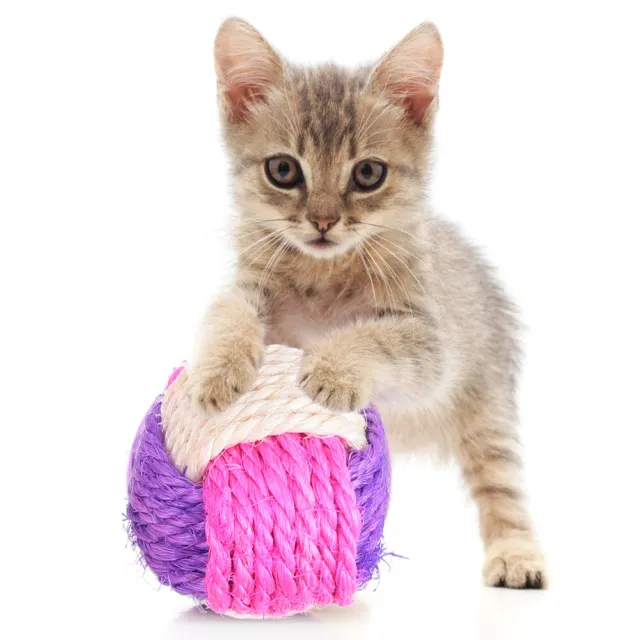 6 piezas juguetes de hierba gatera para gatos bola de sisal mascotas interactivas para gatos rodar el