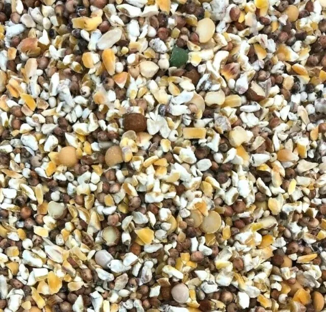 20kg PREMIUM HUSK FREE Wild Bird Food Seed All Seasons No Mess Mix