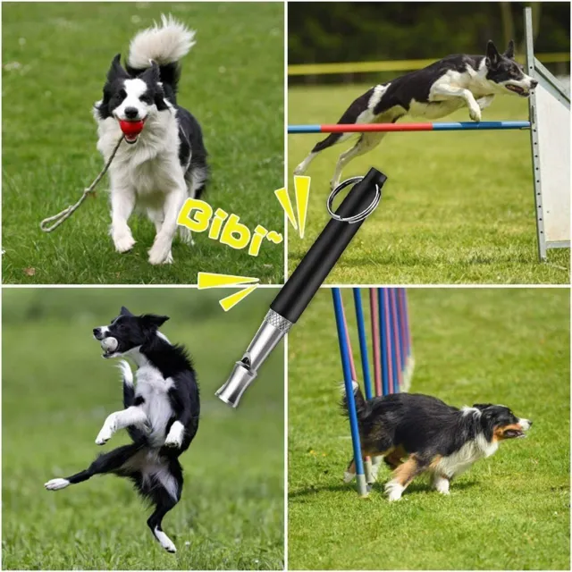 Ultrasónico compacto entrenamiento para perros pipa dejar de ladridos obediencia llavero Sc