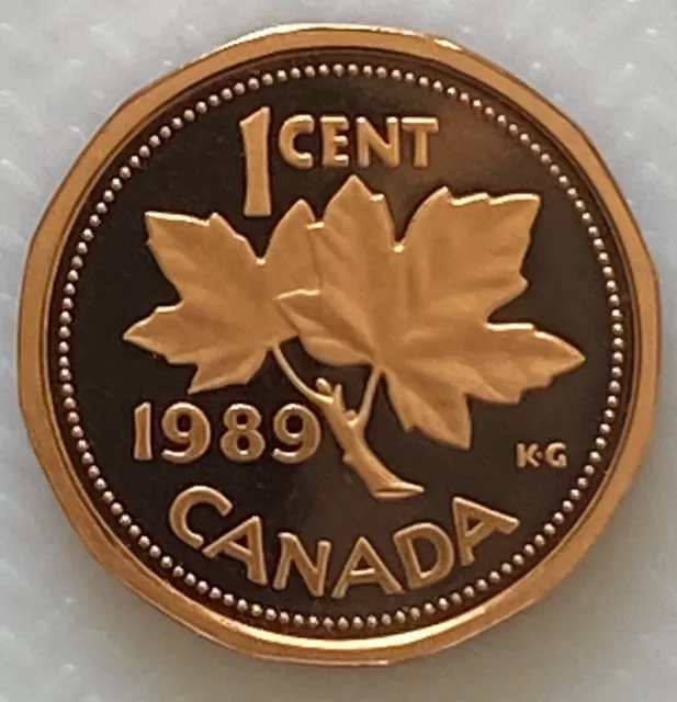 1989 Canada 1 Cent Proof Penny Heavy Cameo Coin