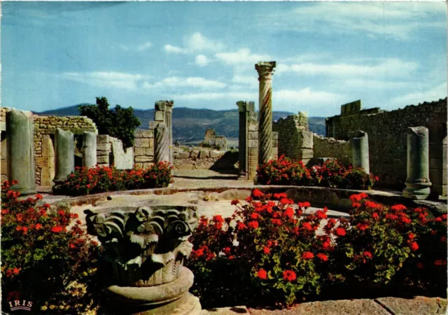 CPM AK Volubilis- La Maison aux Colonnes MAROC (880996)