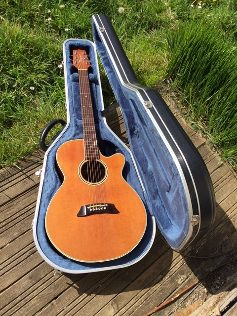 takamine ef 261 san