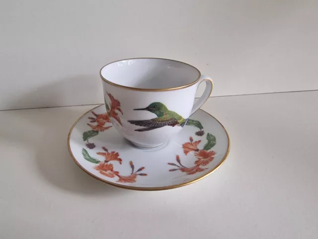 Rare Hummingbirds Of The World Bavarian Fine Bone China Vintage Cup And Saucer