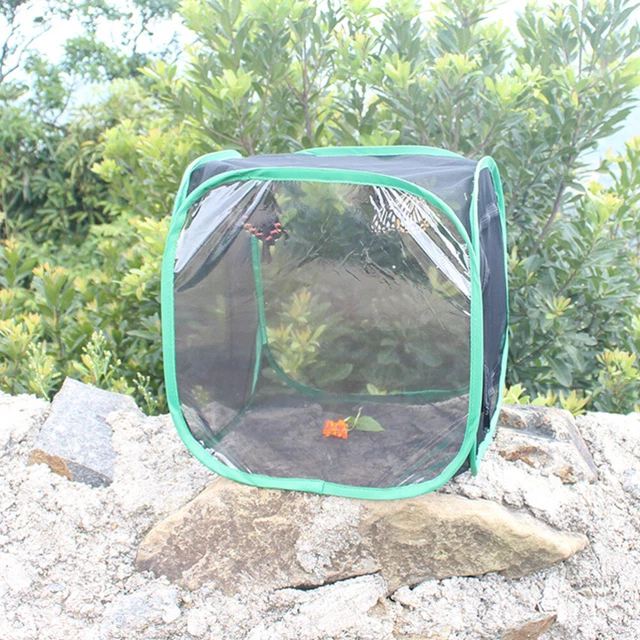 Nature Exploration Toy Breeding Cage Translucent Ground Cage Child