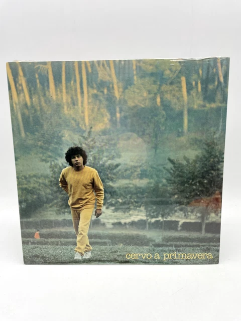 DISCO VINILE 33 giri LP Cervo a primavera Cocciante SIGILLATO (PL 31546 ...