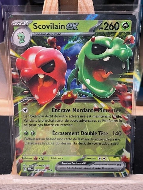 022/162 - Scovilain-ex - Forces Temporelles