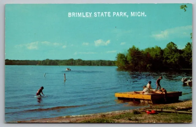 BRIMLEY MICHIGAN MI State Park Lake Water Ski Swimming CHIPPEWA COUNTY Postcard