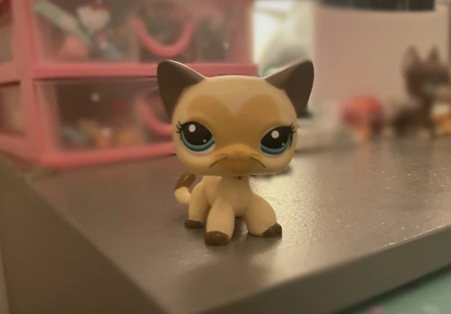 LPS Littlest Pet Shop #3573 Chat Européen Hasbro - Original