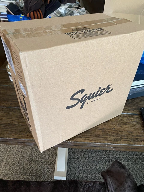 Fender Frontman Guitar Amplifier 10G Squire NEW SEALED IN BOX!