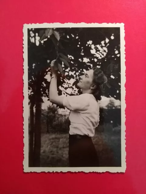 Altes Foto antik wunderschöne Frau Natur Baum dream Woman Romantik old Photo art