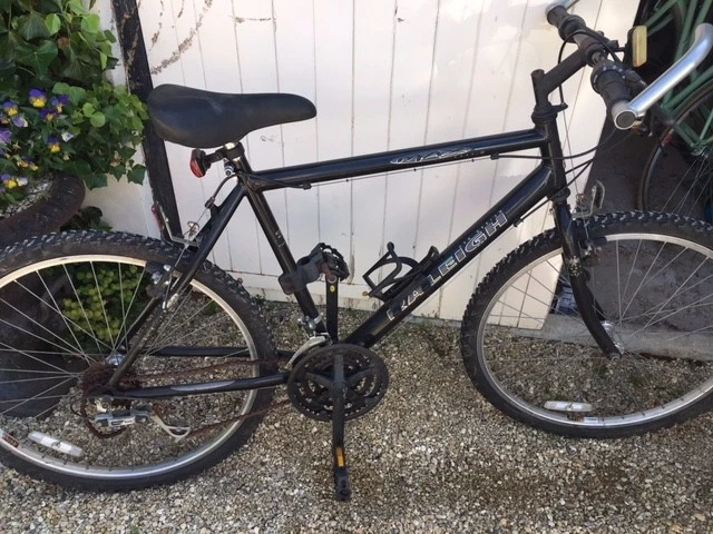 Raleigh max sales ogre 15