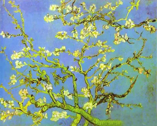 Dream-art Oil painting Vincent Van Gogh - Branches and flowers of plum canvas