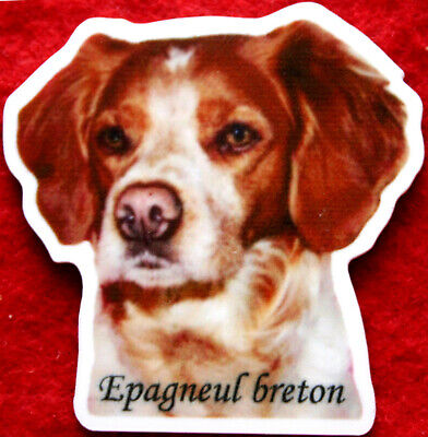 Breton Epagneul Breton Magnet Aimant Personnalisé Photo Texte Ardoise Stylo Chien N6 