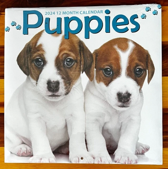 2024 PUPPIES PUPPY Wall Desk 12 Month Calendar Organizer Life Planner