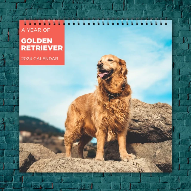 GOLDEN RETRIEVER CALENDAR 2024, Dog Wall Calendar 2024, Funny Calendar