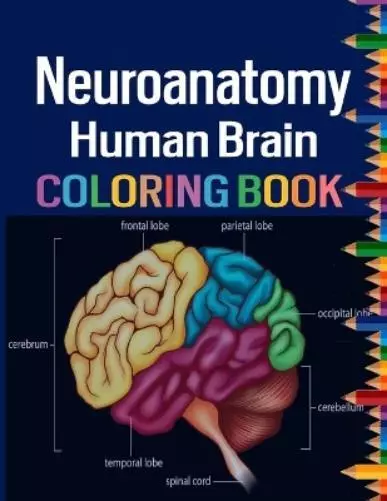 Ellatripper Arm Neuroanatomy Human Brain Colorin (Tapa blanda) (Importación USA)