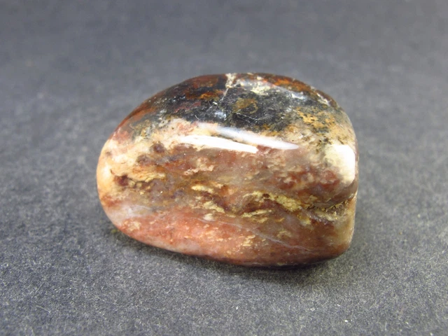 Rare Bustamite Piece from South Africa - 1.2" - 20.7 Grams