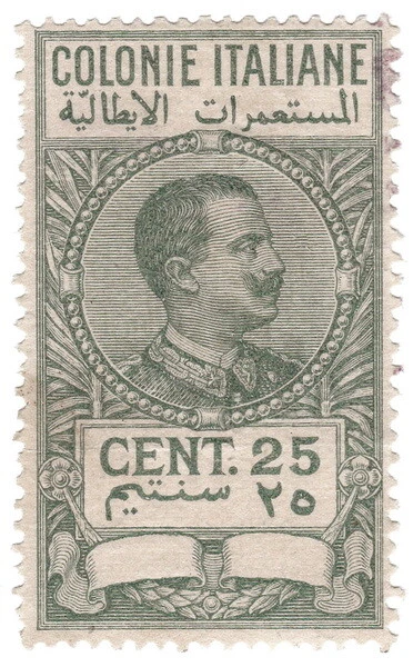 (I.B) Italy (Libya) Revenue : Duty Stamp 25c (1923)