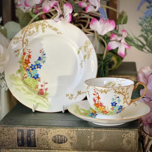 AYNSLEY Tea Cup & Saucer & Plate Trio #B1652 Hand Painted Flowers - Excellent