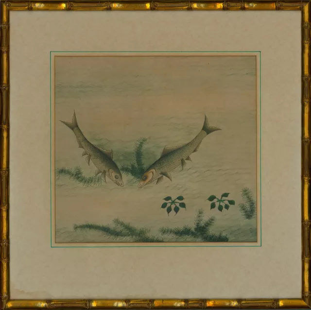 Early 20th Century Watercolour - Two Fish with Foliage