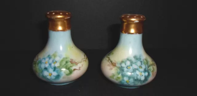 Vintage BAVARIA Hand Painted SALT & PEPPER SHAKERS~Gold Painted Tops