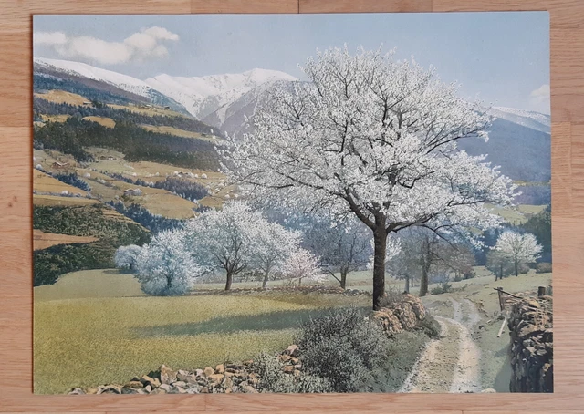 Photochromie: KIRSCHBLÜTE in SÜDTIROL / Nenke & Ostermaier / Fotografie Nr. 218