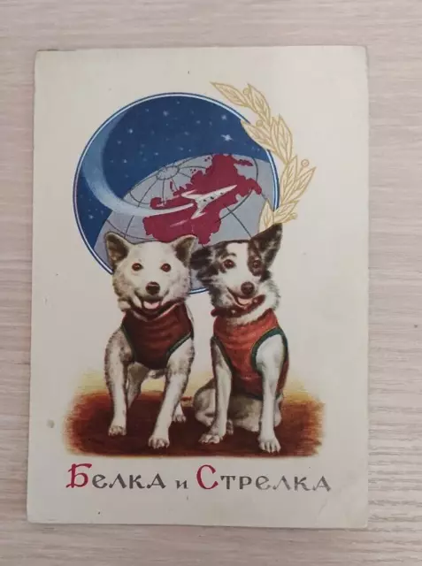 Rare 100% Original Post Card Space  USSR Soviet Strelka Belka  animals