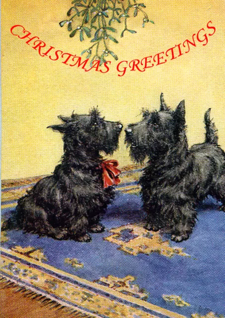 Scottish Terrier Mistletoe Scottie Dog Single Dog Print Greeting Christmas Card