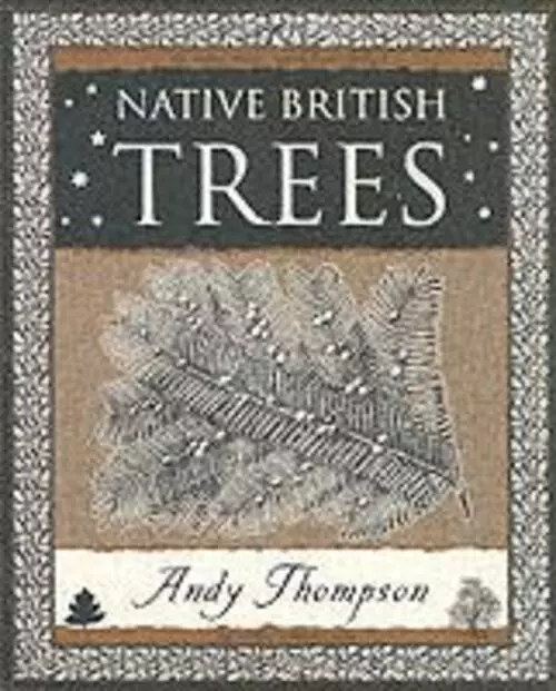 Andy Thompson | Native British Trees | Taschenbuch | Englisch (2005)