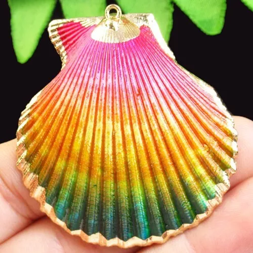Gold Edge Rainbow Scallop shell Pendant Bead 50x46x2mm F47919