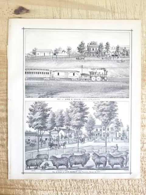 RES OF MRS E ENNIS & J W HARDY,PALMYRA,NY.1887 13.7" x 11.5 ART PRINT*EP7