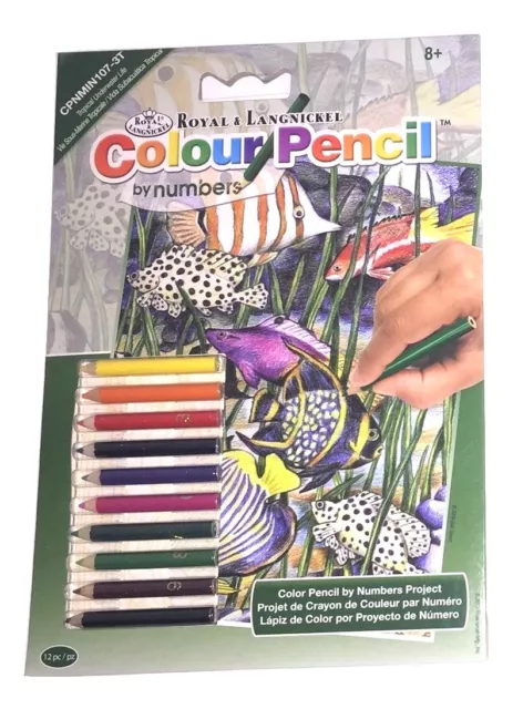 Colour Pencil By Numbers Royal Langnickel