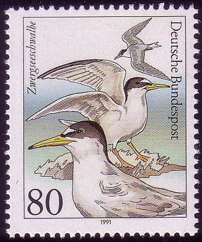 1540 Seevögel 80 Pf Zwergseeschwalbe **