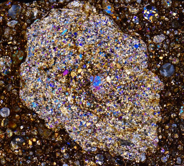 Meteorite NWA 12518 - LL3 with a Big 13mm Chondrule  - High Quality Thin Section