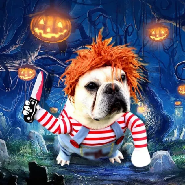 Deguisement Chien Chat Cosplay Chucky Costume Halloween Animaux Taille Au Choix 2